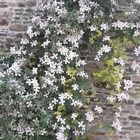 Au Pre Du Mont St Michel Semesterbostad Villiers-le-Pré