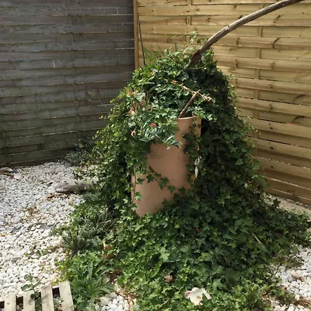 Au Pre Du Mont St Michel * Villiers-le-Pré