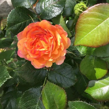 Au Pre Du Mont St Michel Semesterbostad