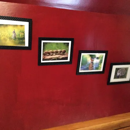 Au Pre Du Mont St Michel Semesterbostad *