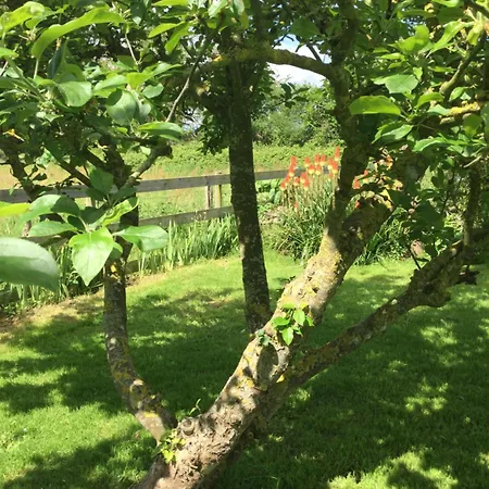 Au Pré Du Mont St Michel