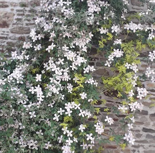 Au Pre Du Mont St Michel بيت للعطل Villiers-le-Pré