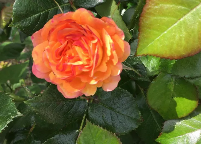 Au Pre Du Mont St Michel بيت للعطل