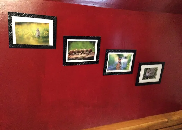 Au Pre Du Mont St Michel بيت للعطل *