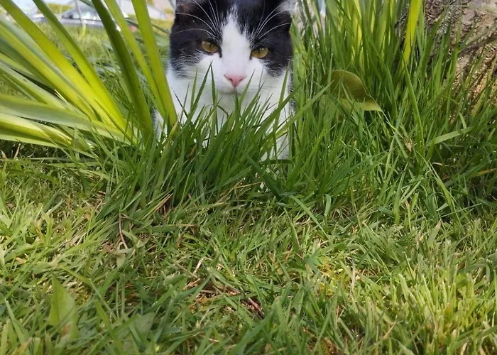 Au Pre Du Mont St Michel بيت للعطل