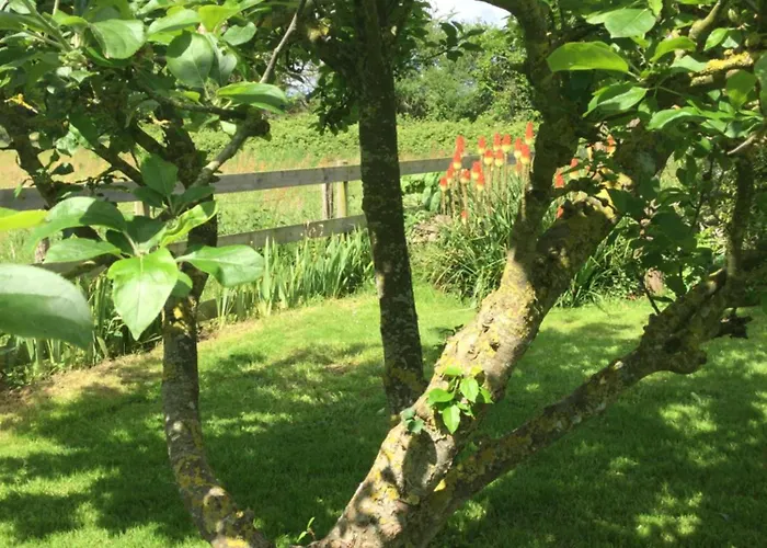 Au Pre Du Mont St Michel