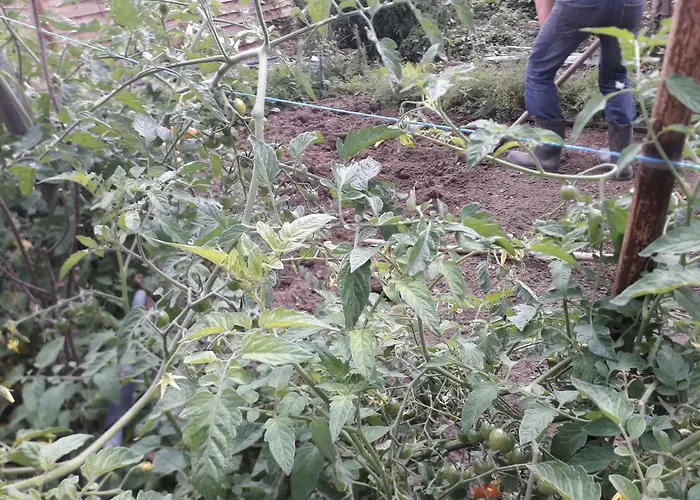 بيت للعطل Au Pre Du Mont St Michel